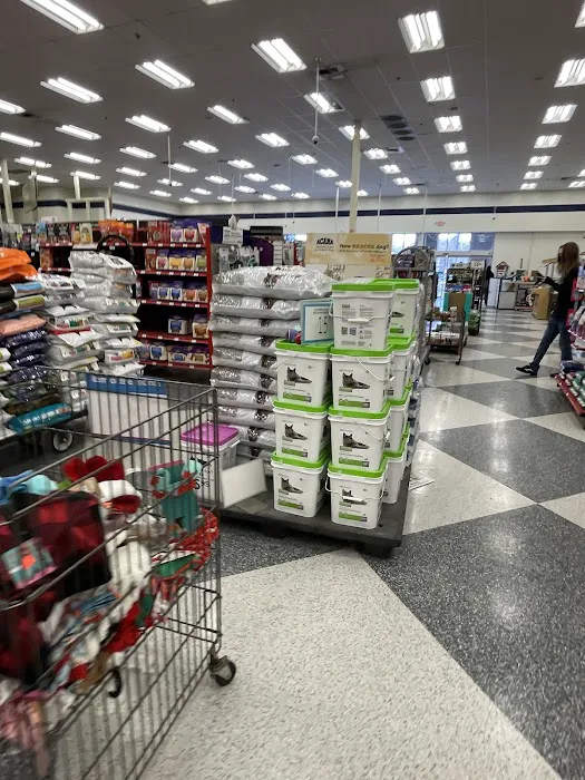 Petco Picture 3