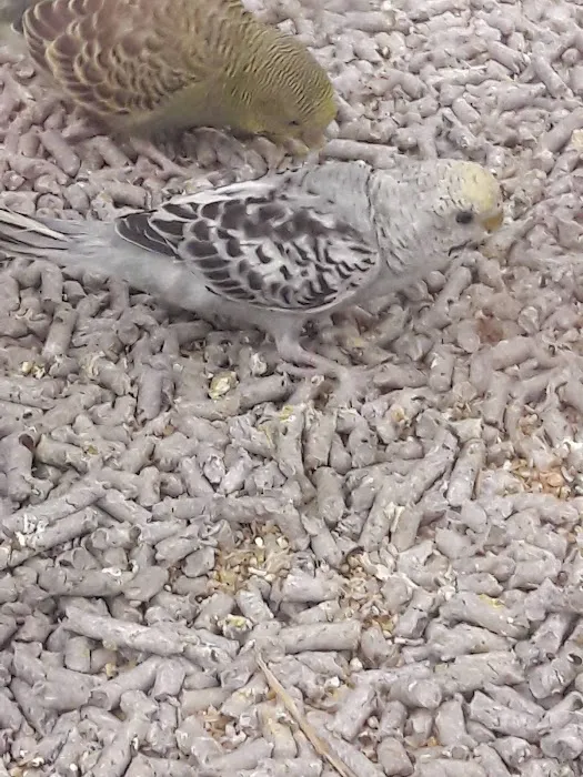 Petco Picture 1