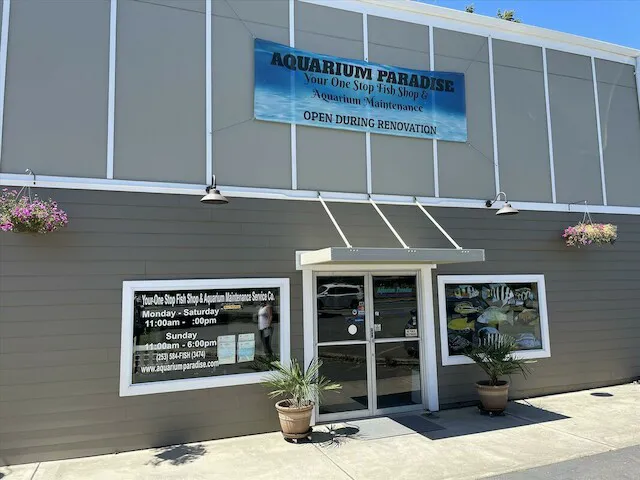 Aquarium Paradise Picture 5