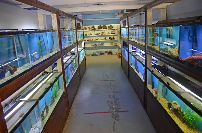 Aquarium Paradise Picture 1