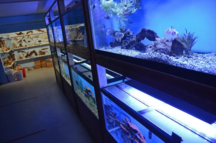 Aquarium Paradise Picture 6