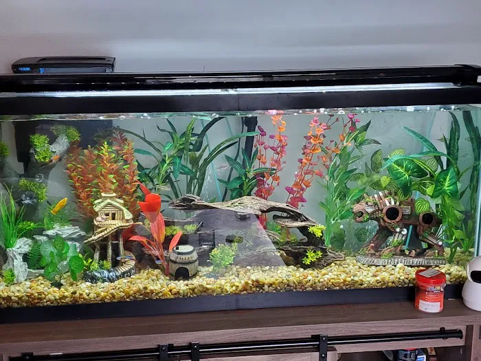 Aquarium Paradise Picture 3