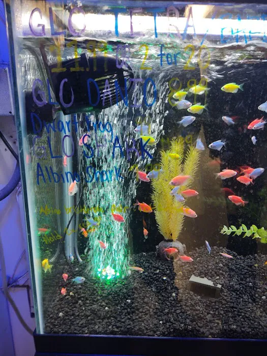 Aquarium Paradise Picture 8