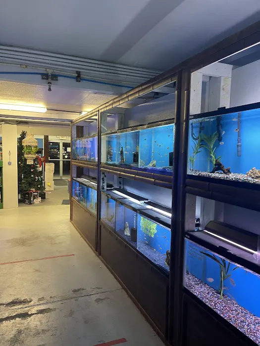 Aquarium Paradise Picture 2