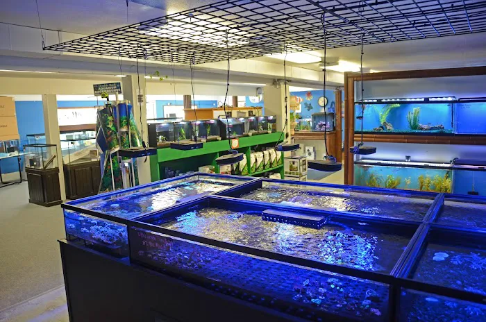 Aquarium Paradise Picture 4