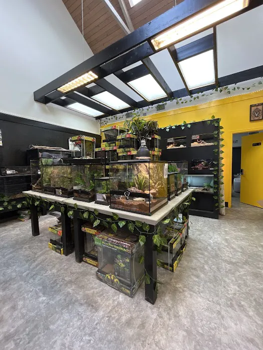 Spider Shoppe Exotic Pets & Supplies Picture 1