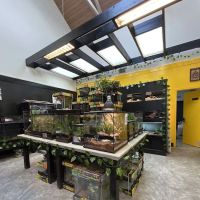 Spider Shoppe Exotic Pets & Supplies ico