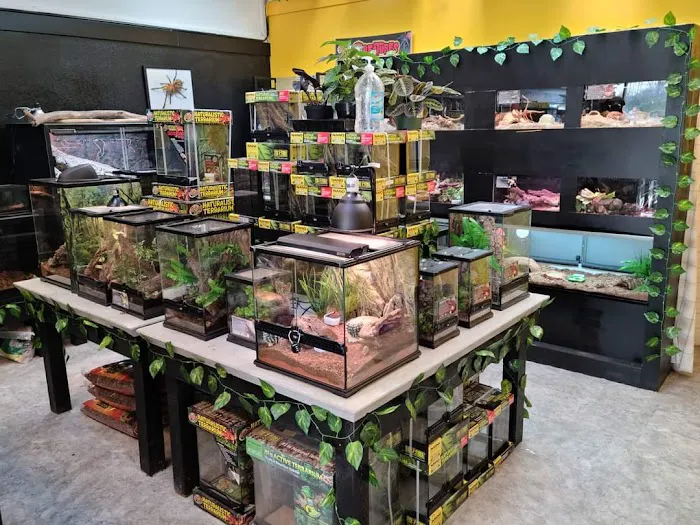Spider Shoppe Exotic Pets & Supplies Picture 10