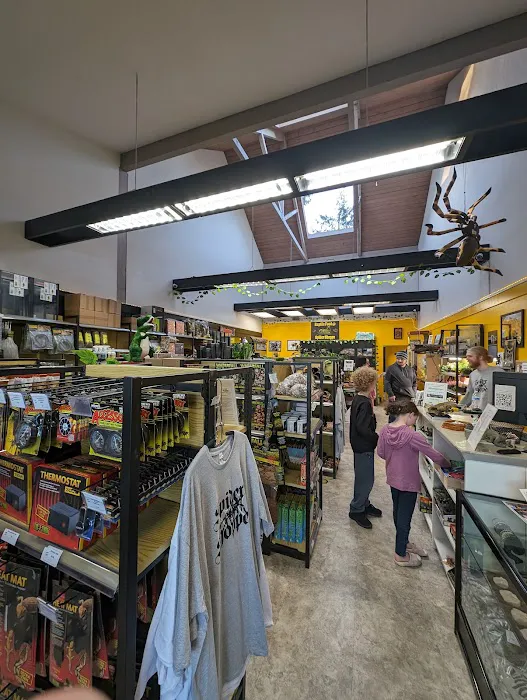 Spider Shoppe Exotic Pets & Supplies Picture 3