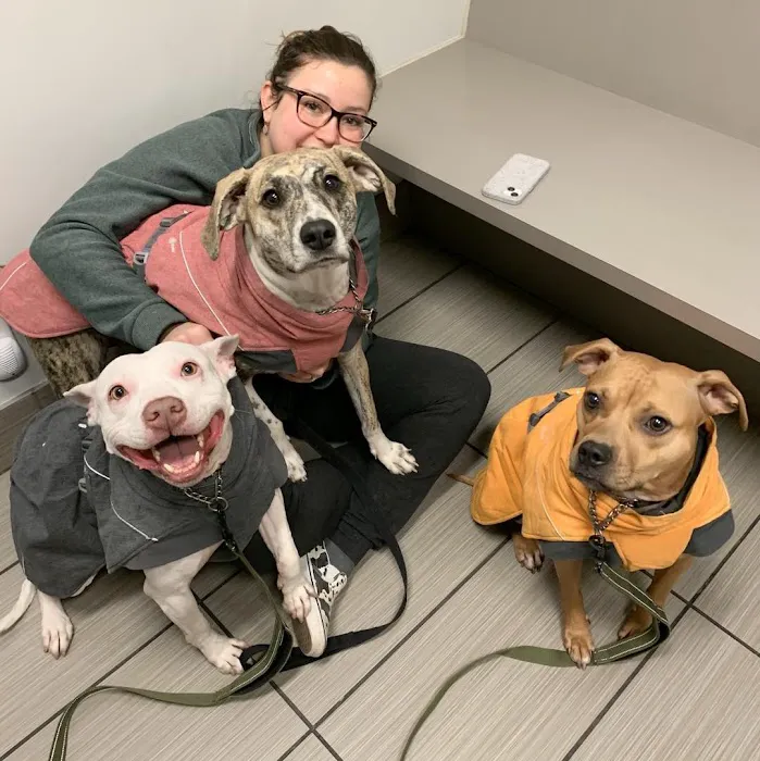 Pure Paws Veterinary Care of Hell's Kitchen Picture 8