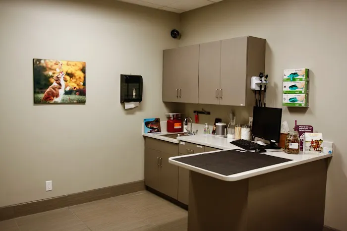 Pure Paws Veterinary Care of Hell's Kitchen Picture 6