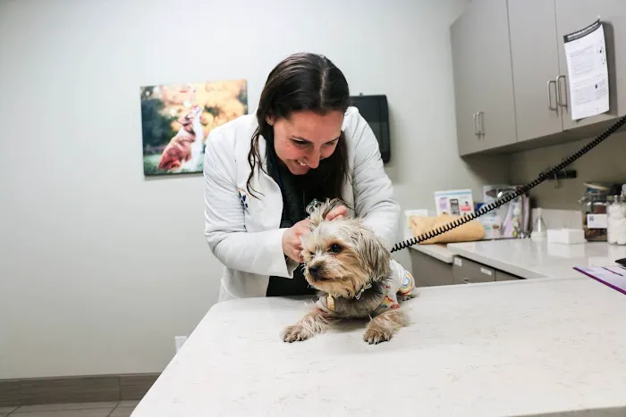 Pure Paws Veterinary Care of Hell's Kitchen Picture 7