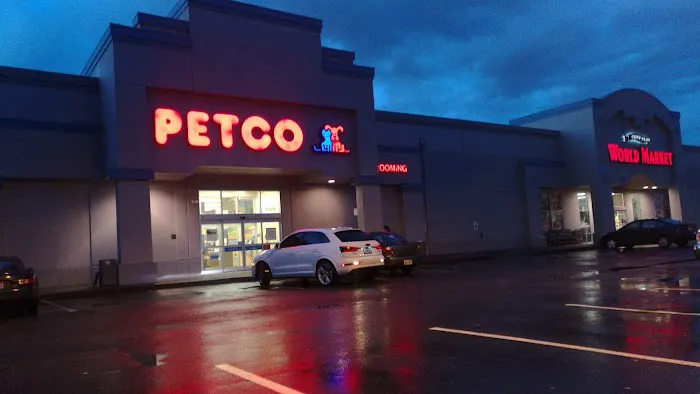 Petco Picture 3