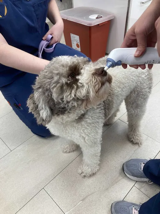 Heart of Chelsea Veterinary Group - Hell's Kitchen Picture 2