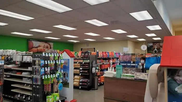 Petco Picture 7