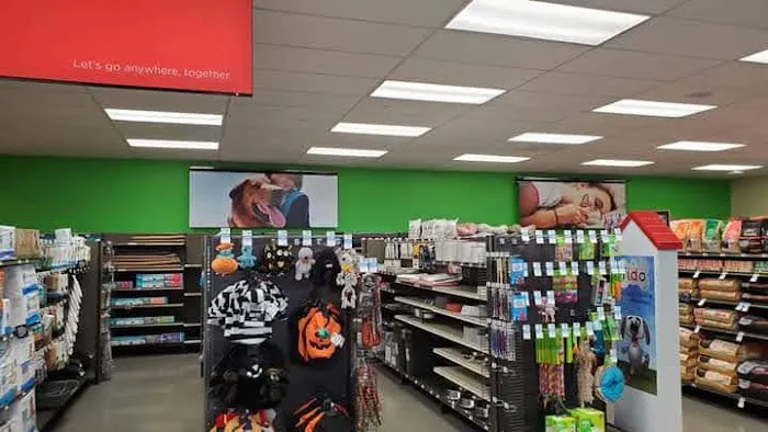 Petco Picture 4