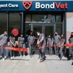 Bond Vet - Hell's Kitchen