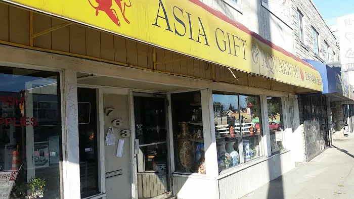 Asia Gift & Aquarium Picture 7