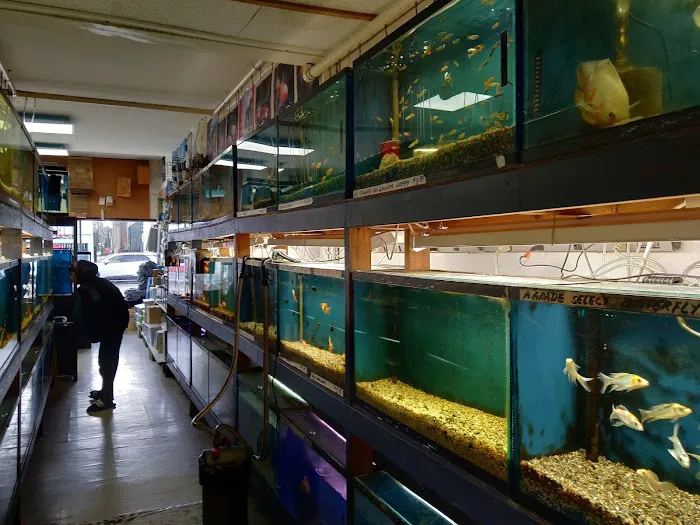 Asia Gift & Aquarium Picture 2