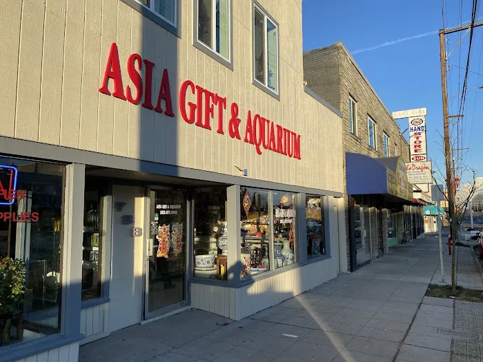 Asia Gift & Aquarium Picture 5
