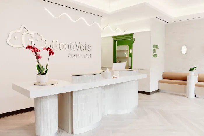 GoodVets Emergency Clinic West Village Picture 6
