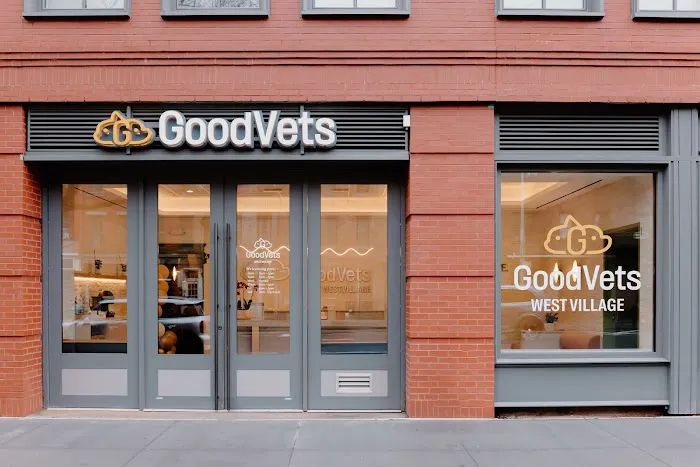 GoodVets Emergency Clinic West Village Picture 7