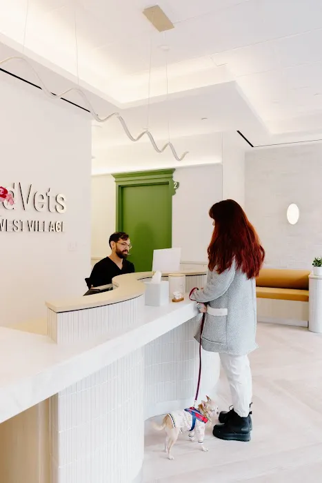 GoodVets Emergency Clinic West Village Picture 4