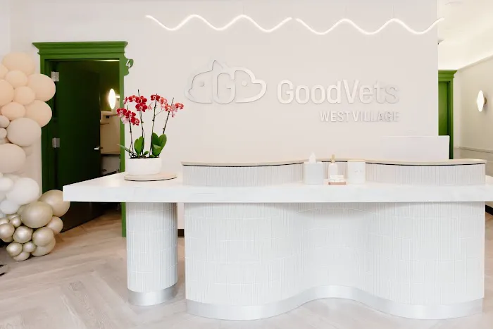 GoodVets Emergency Clinic West Village Picture 9