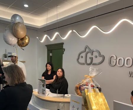 GoodVets Emergency Clinic West Village