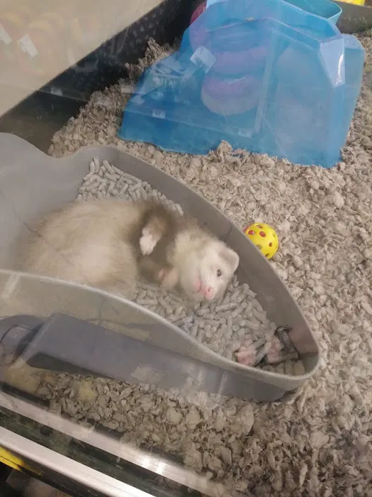 Petco Picture 1