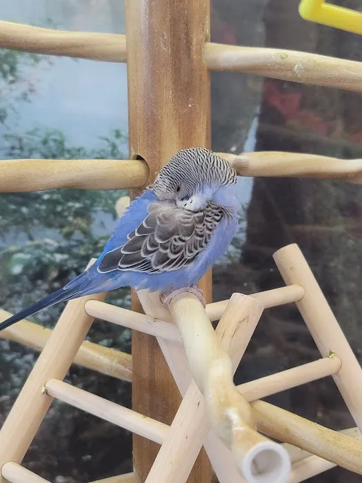 Petco Picture 4