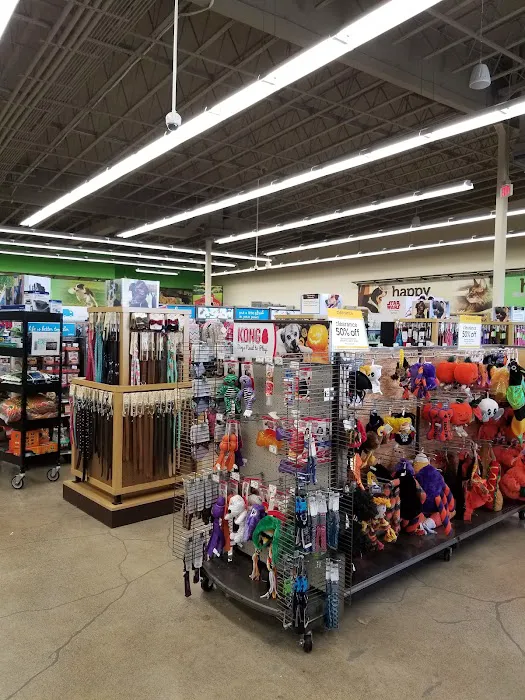 Petco Picture 2