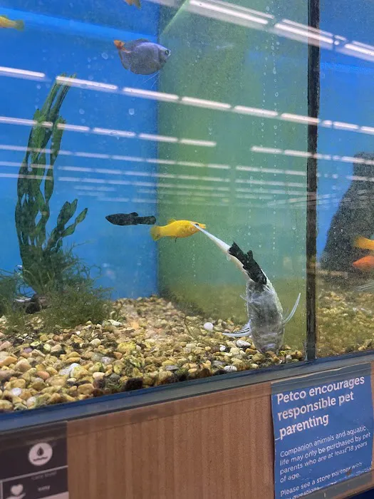 Petco Picture 3