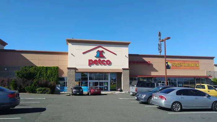 Petco Picture 9