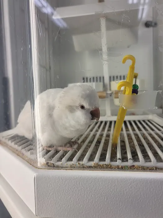 Petco Picture 5