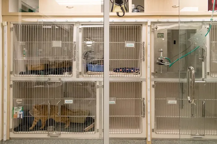 West Village Veterinary Hospital Picture 6