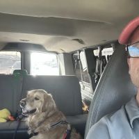 West Village Veterinary Hospital ico