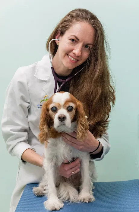 West Village Veterinary Hospital Picture 8
