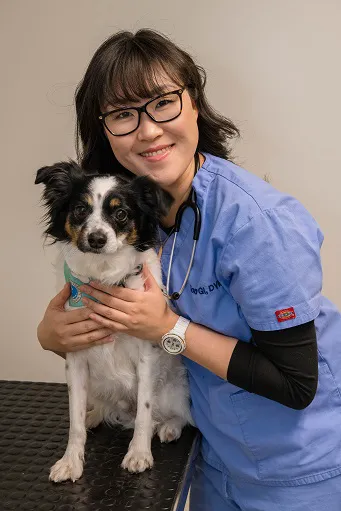 West Village Veterinary Hospital Picture 10