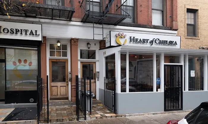 Heart of Chelsea Veterinary Group - Chelsea Picture 6