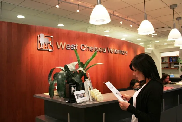 West Chelsea Veterinary Picture 8
