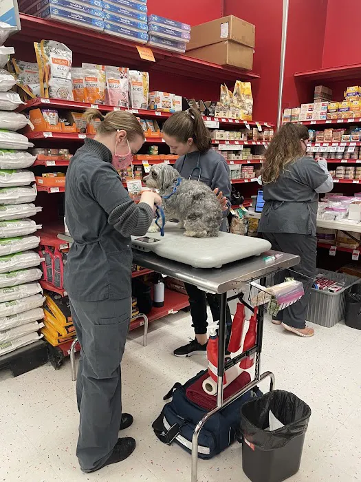 Petco Picture 7