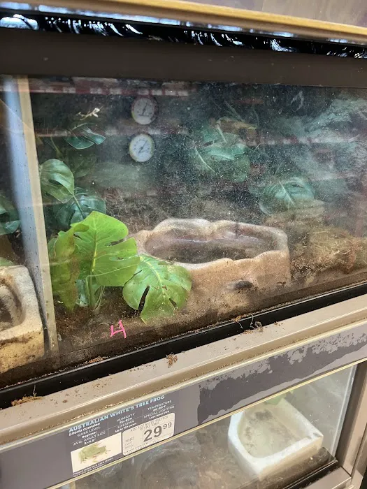 Petco Picture 8