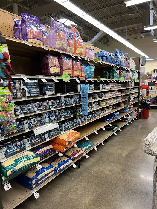 Petco Picture 5