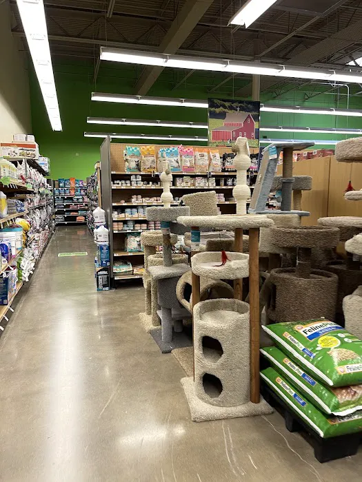 Petco Picture 3