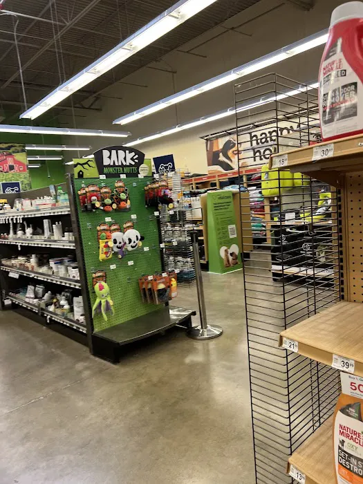 Petco Picture 7