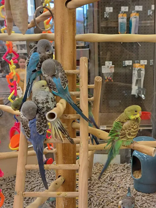 Petco Picture 10