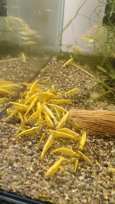 anaaquariums Picture 1