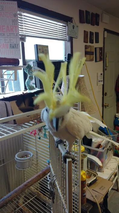 Carrie's Critters Picture 10