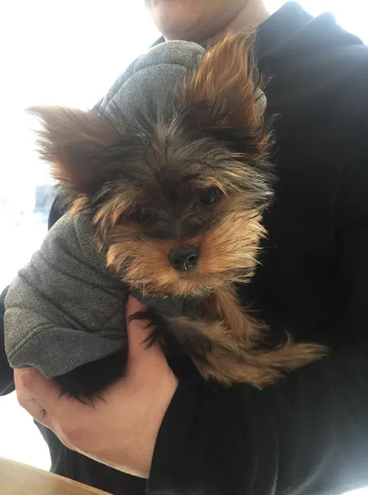 Columbus Circle Veterinary Hospital Picture 1